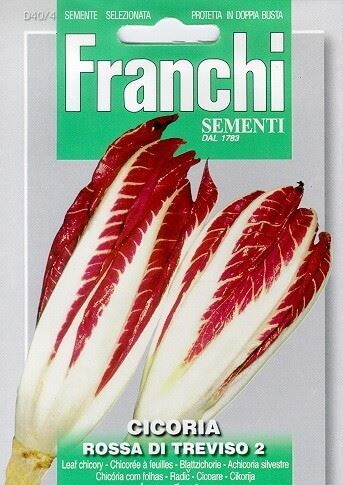 Radicchio Rossa Di Treviso 3 (Cichorium) 8400 seeds